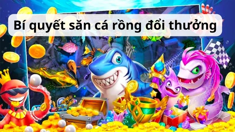 Bí quyết săn cá rồng đổi thưởng