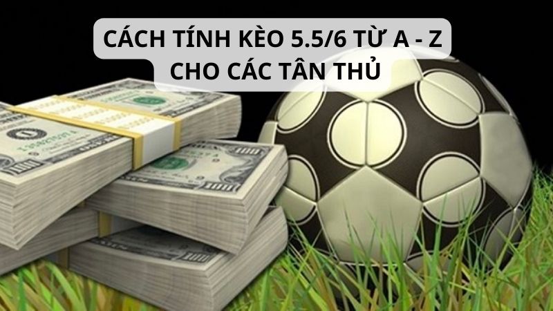 Cách tính kèo 5.5/6 là gì?