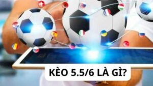 Kèo 5.5/6 là gì?